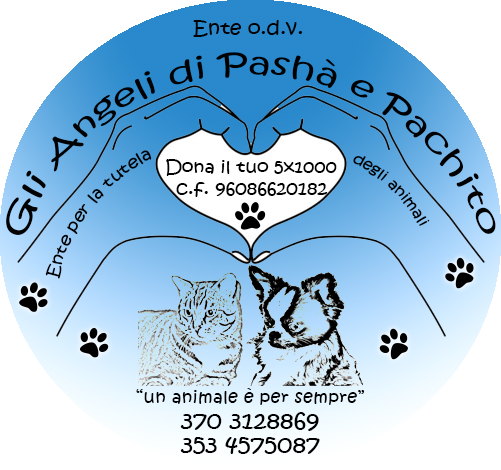 Gli angeli di Pashà e Pachito